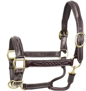 Derby Originals American Elite Fancy Stitch Padded Adjustable Halter