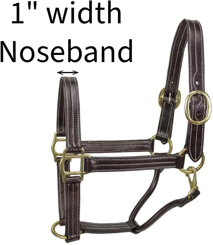Derby Originals Bristol Triple Stitched Premium Leather Horse Halter with Throat Snap for Easy Taking Off for Stables