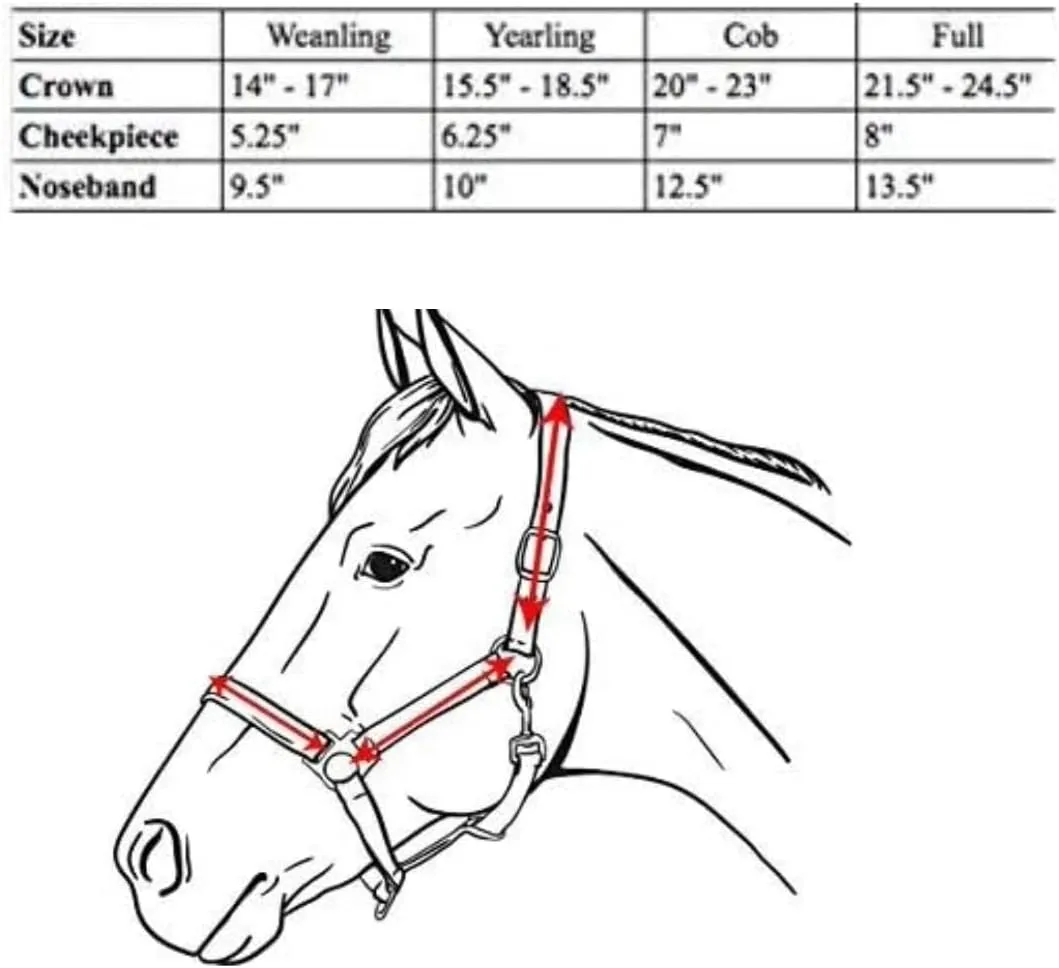 Derby Originals Cambridge Triple Stitched Premium Leather Horse Halter No Throat Snap for Safety and Track Racing..