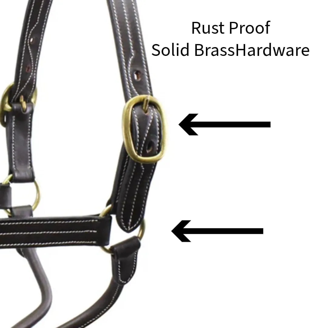 Derby Originals Cambridge Triple Stitched Premium Leather Horse Halter No Throat Snap for Safety and Track Racing..