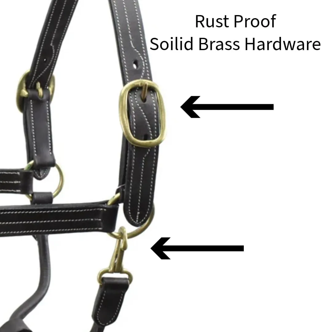Derby Originals Triple Stitched Double Layer Premium Leather Adjustable Horse Halter with Throat Snap for Easy Taking Off