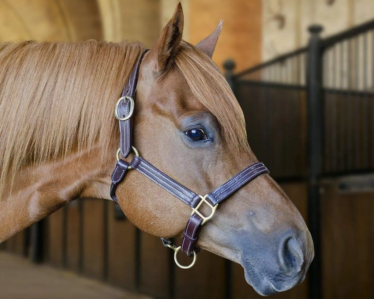 Derby Originals Triple Stitched Double Layer Premium Leather Adjustable Horse Halter with Throat Snap for Easy Taking Off