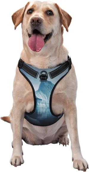 Icebergs Medium Printed pet Traction Vest - Ideal for Dog Walking, Hiking, Daily Travel