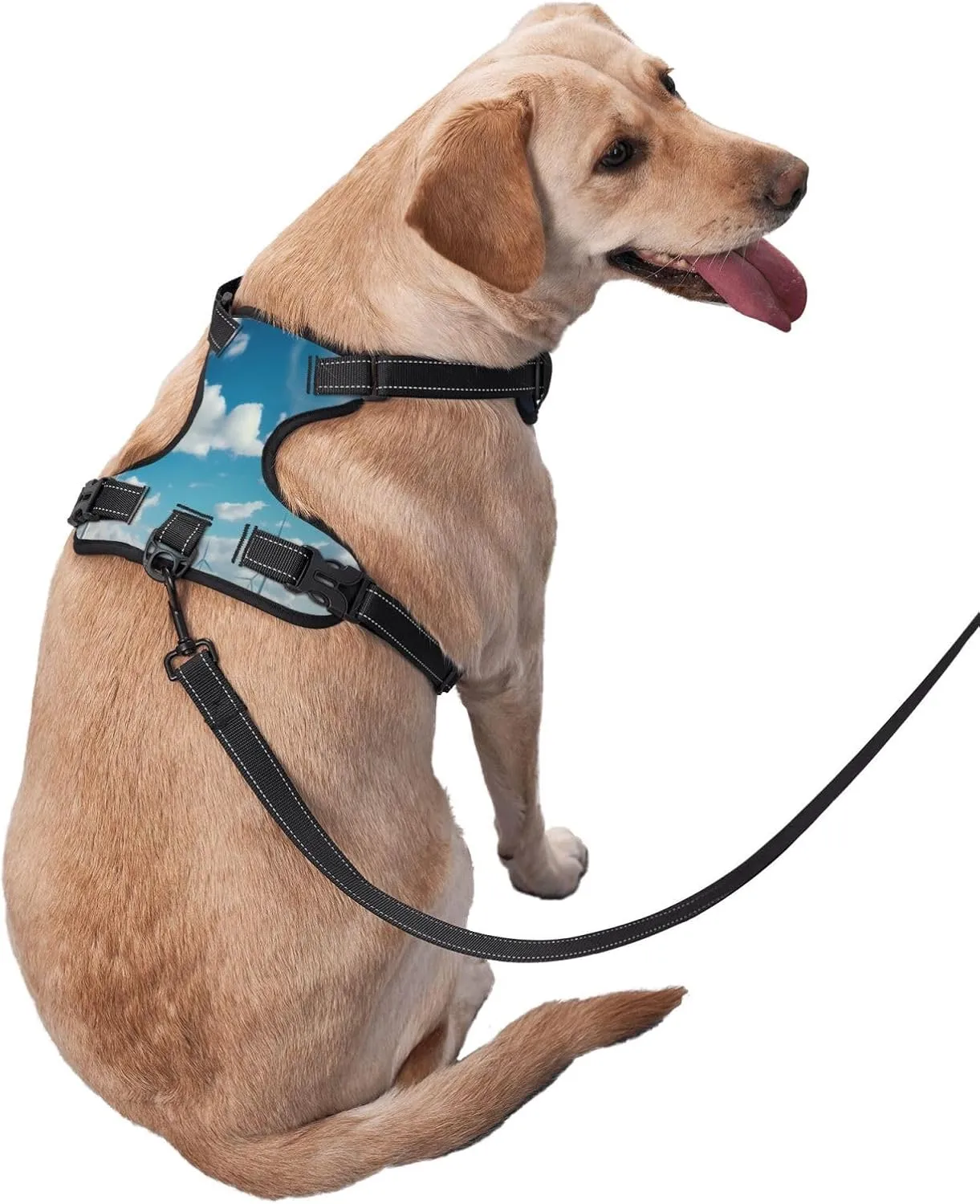 Windmills Medium Printed pet Traction Vest for Pets to wear When Walking The Dog or Climbing Mountains